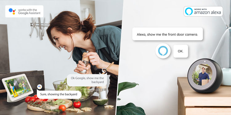Google Assistant Amazon Echo Dot Alexa
